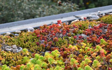 the cost of Drimpton green roof installation