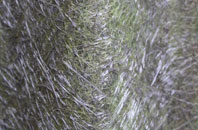 Drimpton fibreglass roof work