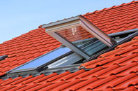 Drimpton roof window