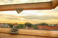 rated Drimpton roof window companies